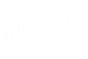 Bridgital Impact